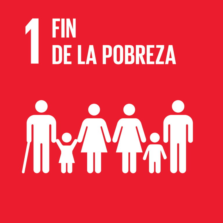 Lee más sobre el artículo Objetivo 1: Poner fin a la pobreza en todas sus formas en todo el mundo