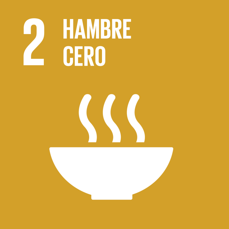 Lee más sobre el artículo Objetivo 2: Poner fin al hambre, lograr la seguridad alimentaria y la mejora de la nutrición y promover la agricultura sostenible