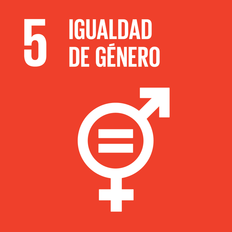 Lee más sobre el artículo Objetivo 5: Lograr la igualdad entre los géneros y empoderar a todas las mujeres y las niñas