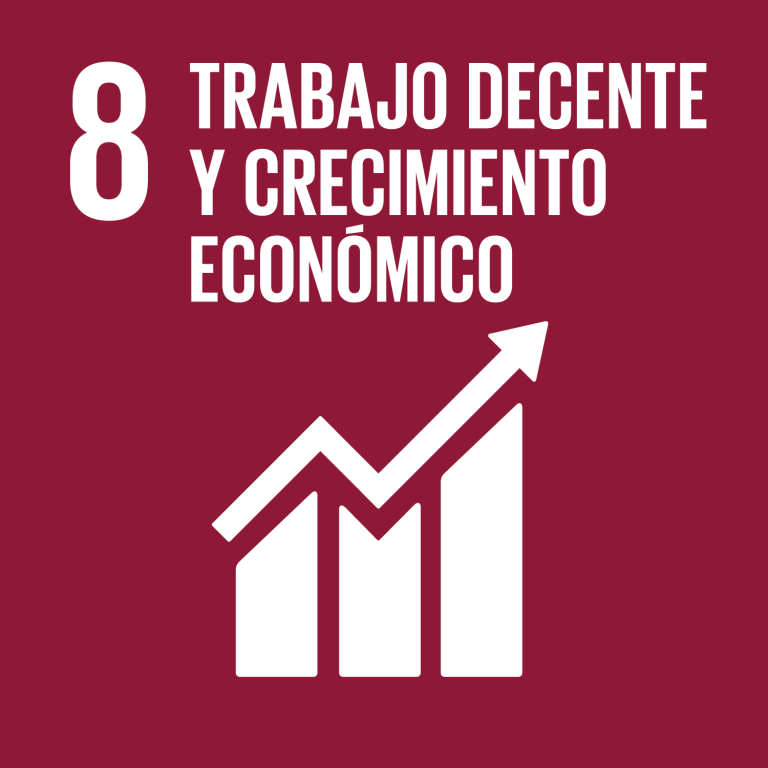 Lee más sobre el artículo Objetivo 8: Promover el crecimiento económico sostenido, inclusivo y sostenible, el empleo pleno y productivo y el trabajo decente para todos