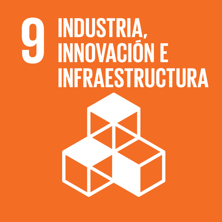 Lee más sobre el artículo Objetivo 9: Industria, Innovación e Infraestructuras