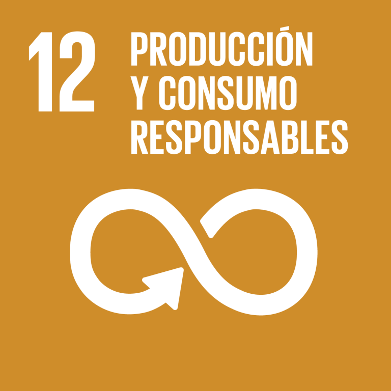 Lee más sobre el artículo Objetivo 12: Garantizar modalidades de consumo y producción sostenibles