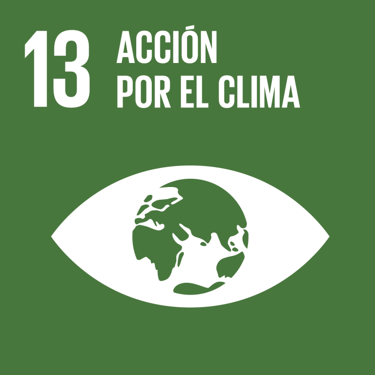 Lee más sobre el artículo Objetivo 13: Adoptar medidas urgentes para combatir el cambio climático y sus efectos
