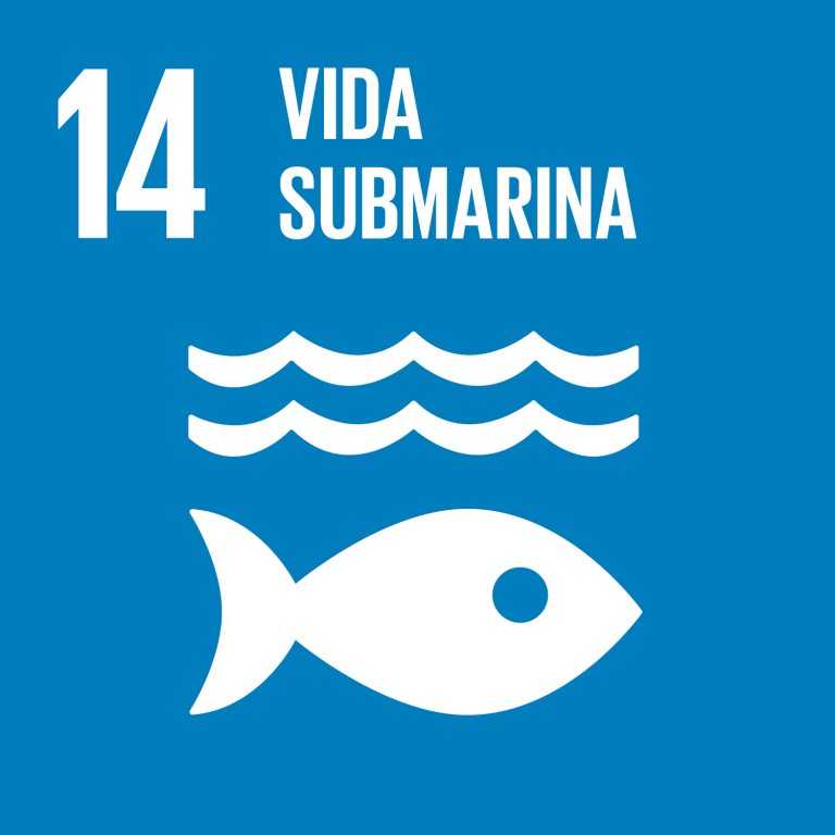 Lee más sobre el artículo Objetivo 14: Conservar y utilizar en forma sostenible los océanos, los mares y los recursos marinos para el desarrollo sostenible
