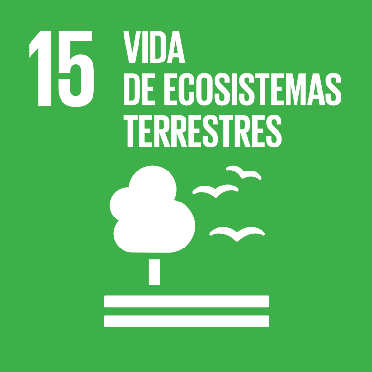Lee más sobre el artículo Objetivo 15: Gestionar sosteniblemente los bosques, luchar contra la desertificación, detener e invertir la degradación de las tierras y detener la pérdida de biodiversidad
