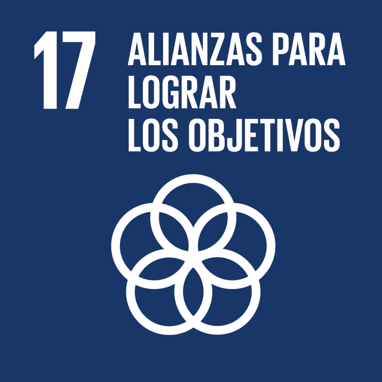 Lee más sobre el artículo Objetivo 17: Revitalizar la Alianza Mundial para el Desarrollo Sostenible
