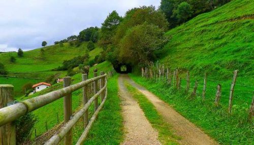 Lee más sobre el artículo Atividades ativas de turismo e natureza podem ser oferecidas nas vias verdes, seguindo certas recomendações
