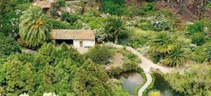 Lee más sobre el artículo El Jardín Canario reabre sus puertas