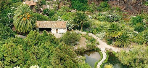 Lee más sobre el artículo El Jardín Canario reabre sus puertas