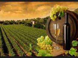 Lee más sobre el artículo Escapadas a los espacios naturales de las rutas del vino en España