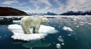 Lee más sobre el artículo Exposición Fotográfica: Cambio Climático. Cómo evitar un colapso total