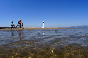 Lee más sobre el artículo Descubriendo el Delta del Ebro sobre dos ruedas