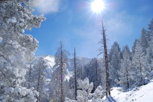 Lee más sobre el artículo 4 días en el Pirineo Francés, lo cambian todo