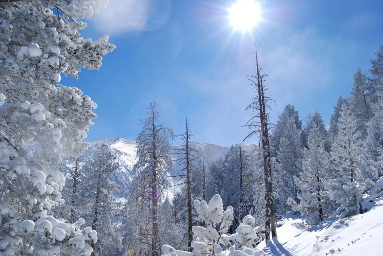 Lee más sobre el artículo 4 días en el Pirineo Francés, lo cambian todo