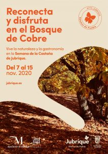 Lee más sobre el artículo Gastronomía de alta cocina, naturaleza y senderismo, protagonistas de la Semana de la Castaña de Jubrique