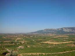 Lee más sobre el artículo Descubre en Familia la Ruta del Vino de Rioja Alavesa