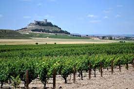Lee más sobre el artículo La Ruta del Vino Ribera del Duero sortea más de 10 experiencias inolvidables con motivo del Día del Enoturismo
