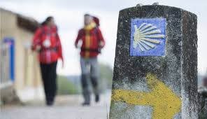 Lee más sobre el artículo El Camino de Santiago desde Alentejo