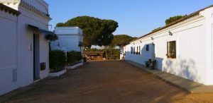 Lee más sobre el artículo Comunidad Valenciana: Vacaciones en familia en la naturaleza