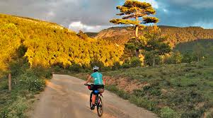 Lee más sobre el artículo Ruta en bici por las montañas vacías
