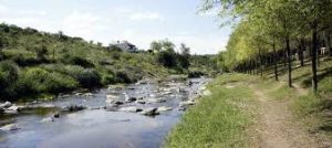Lee más sobre el artículo Recorrido en bici por la Vía Verde del Aceite