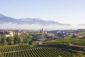 Lee más sobre el artículo Los caminos de la Rioja