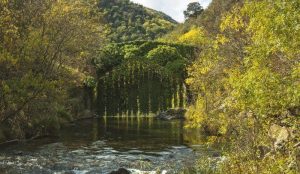 Lee más sobre el artículo Cameros y 7 Villas. El mejor turismo rural en La Rioja