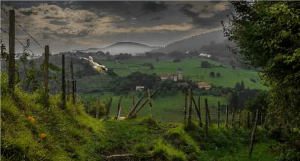 Lee más sobre el artículo GORBEIA, NATURALEZA ACTIVA