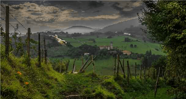 Lee más sobre el artículo GORBEIA, NATURALEZA ACTIVA
