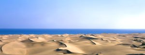 Lee más sobre el artículo Gran Canaria, referente activo