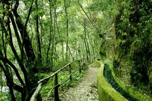 Lee más sobre el artículo La Palma: Inspira naturaleza… espira energía