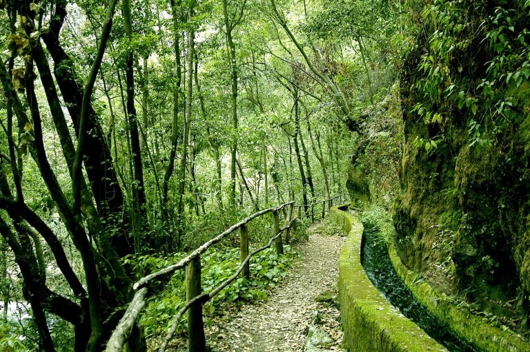 Lee más sobre el artículo La Palma: Inspira naturaleza… espira energía