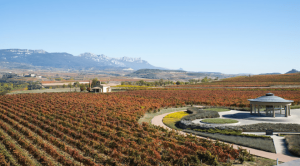 Lee más sobre el artículo La Rioja: Enoturismo por naturaleza