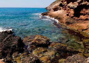 Lee más sobre el artículo Cartagena, prodigio marino