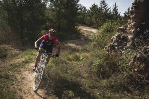 Lee más sobre el artículo Otoño en Lleida con los 5 sentidos
