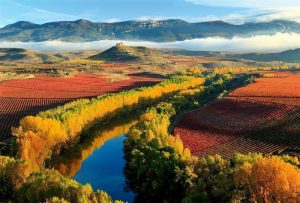 Lee más sobre el artículo Vivir La Rioja a través de experiencias únicas
