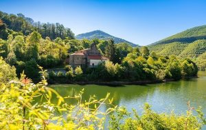 Lee más sobre el artículo Parque Natural de Redes, Asturias