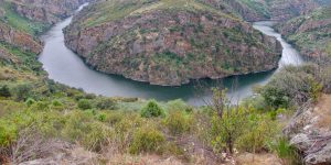 Lee más sobre el artículo Zamora, la cita de este otoño