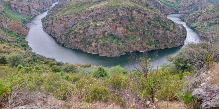 Lee más sobre el artículo Zamora, la cita de este otoño