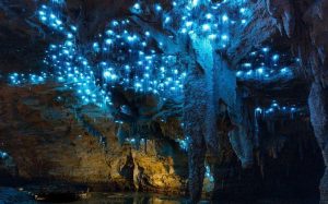 Lee más sobre el artículo Observar las luminiscencias de Waitomo, Nueva Zelanda