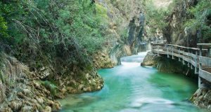 Lee más sobre el artículo Ruta de senderismo La Borosa, Jaén