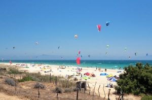 Lee más sobre el artículo Surfear en las mejores zonas entre Tarifa y Cádiz