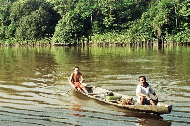 Lee más sobre el artículo Voluntariado Ambiental en el Amazonas