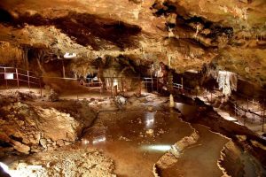 Lee más sobre el artículo Terres de l’Ebre: Tradición y cultura