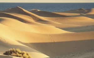 Lee más sobre el artículo 5 PAISAJES DE DUNAS IMPRESIONANTES EN ESPAÑA