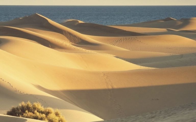 Lee más sobre el artículo 5 PAISAJES DE DUNAS IMPRESIONANTES EN ESPAÑA