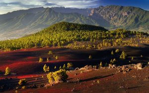 Lee más sobre el artículo LA PALMA ACTIVA: VIVIR LA AVENTURA