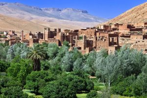 Lee más sobre el artículo SOUSS MASSA: ECOTURISMO EN MARRUECOS