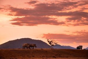 Lee más sobre el artículo Eco-voluntariado en Sudáfrica