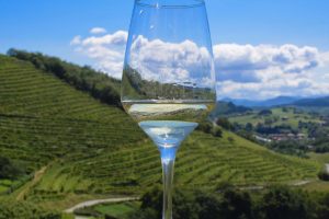 Lee más sobre el artículo RUTA POR LAS 6 MEJORES BODEGAS DE TXAKOLI